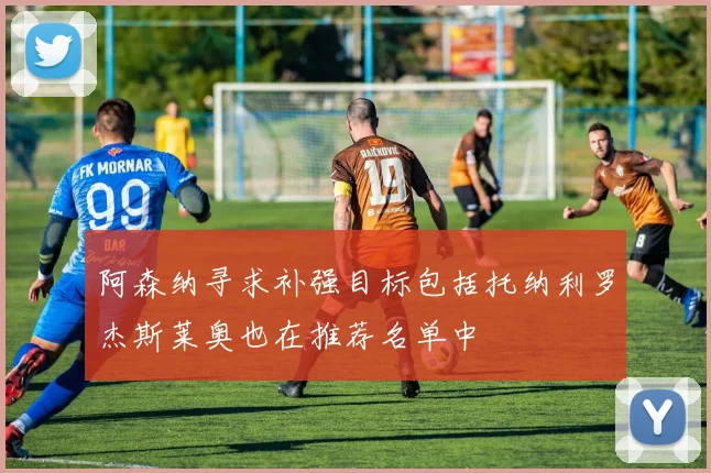 阿森纳寻求补强目标包括托纳利罗杰斯莱奥也在推荐名单中
